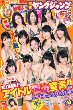 将军在上电视剧